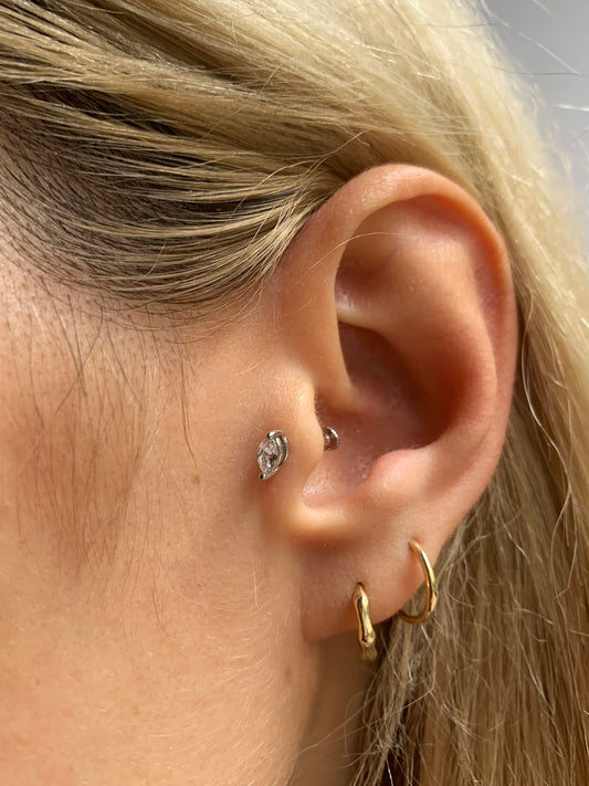 Markiz Piercing&Tragus