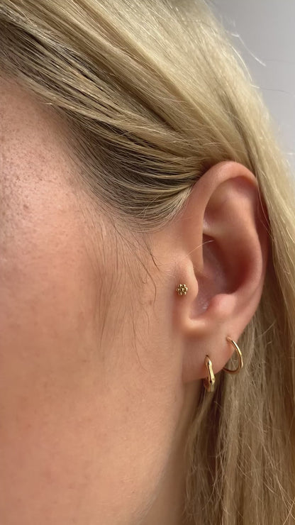 Sade Papatya Piercing&Tragus